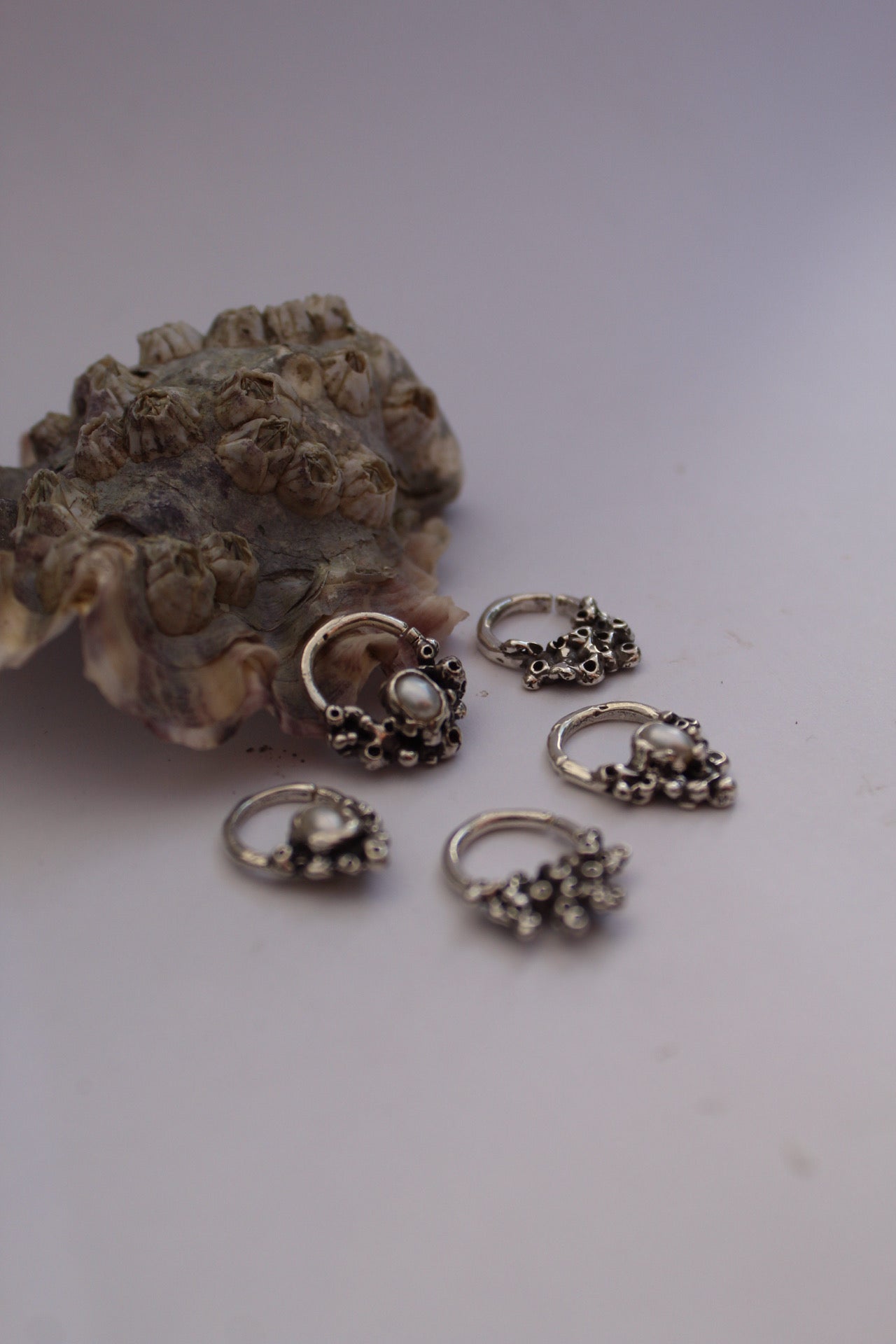 Septum Rings